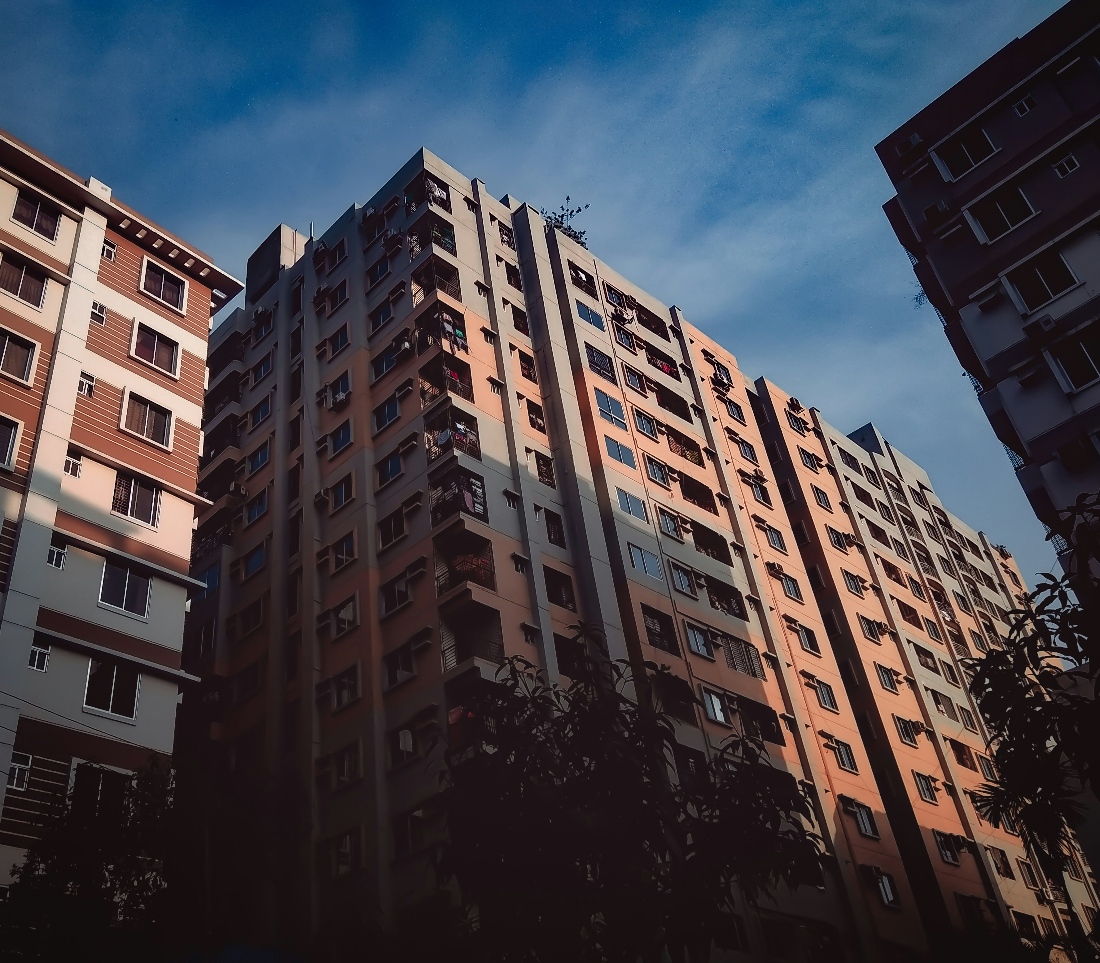 Photo by monirhasnan