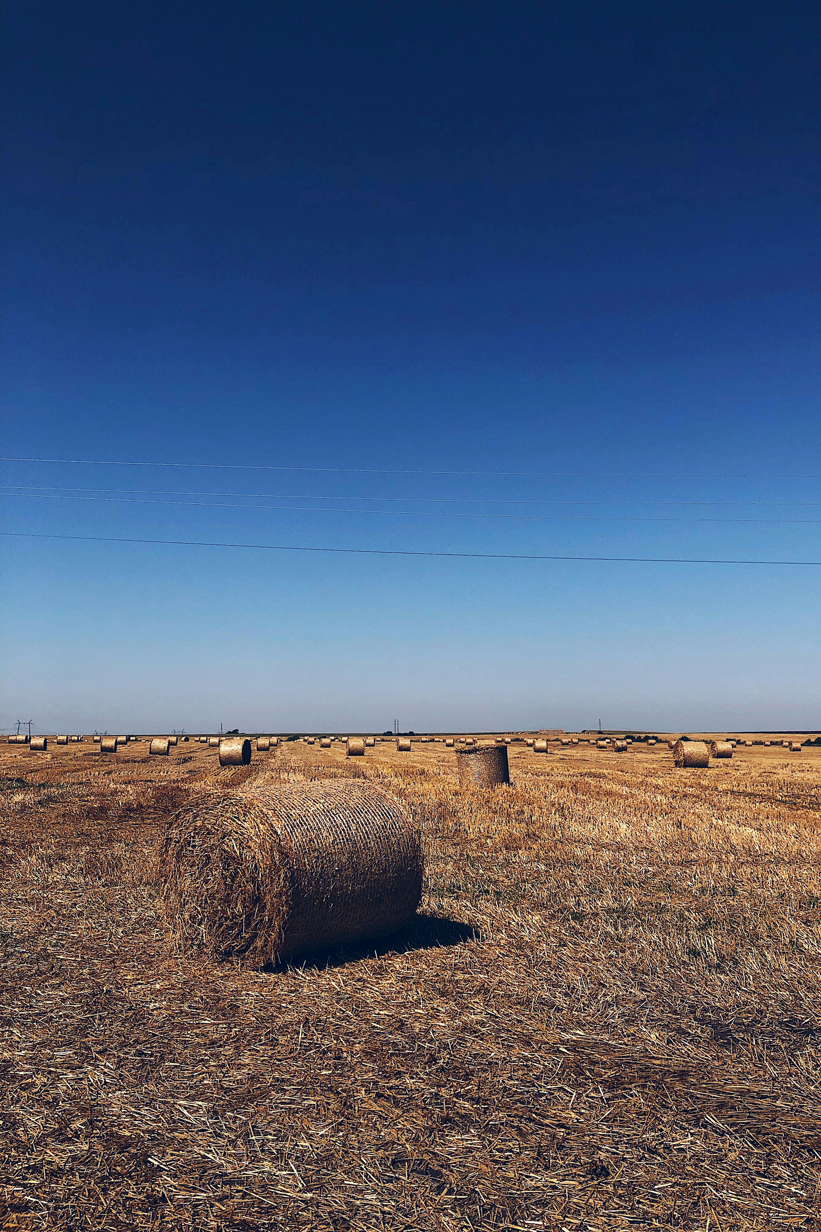 Photo by darias_big_world