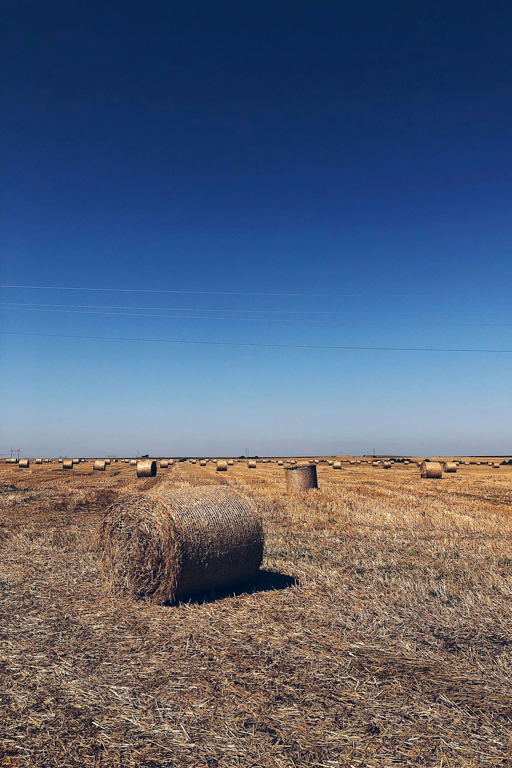 a field with hay bales in the middle of it