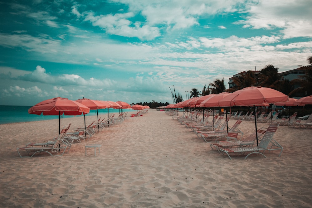 a row of beach chairs and umbrellas on a beach