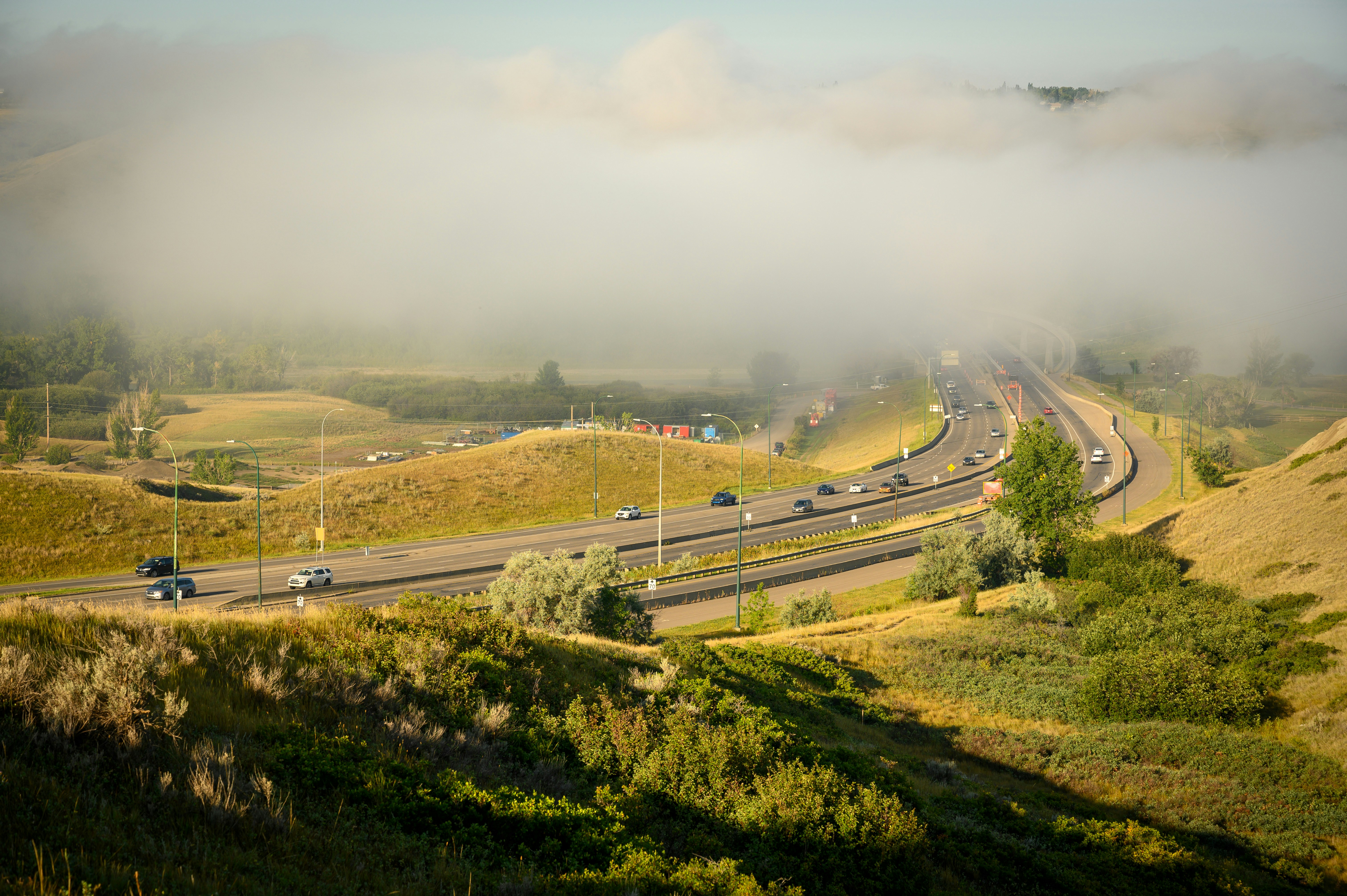 vehicles on road under white sky at daytime