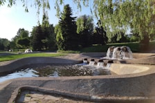 water fountain near trees