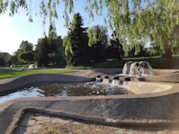 water fountain near trees