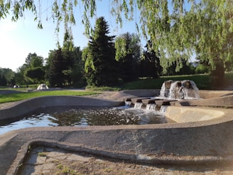water fountain near trees