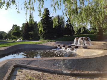 water fountain near trees