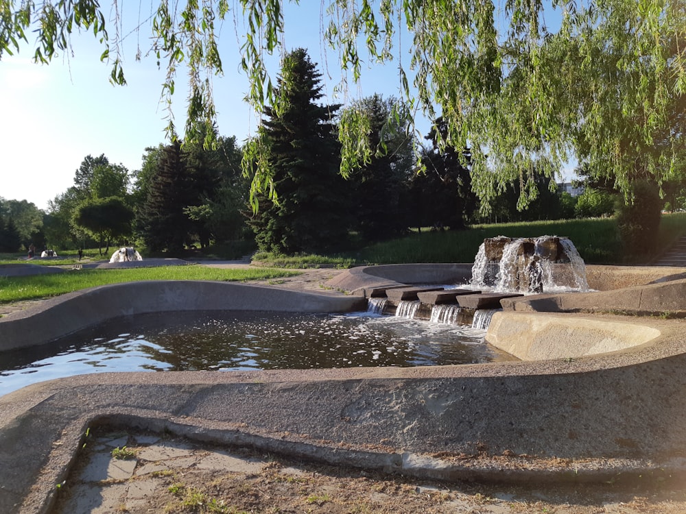 water fountain near trees