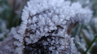 Close-up of a photo being upscaled with crisp detail and no blur.