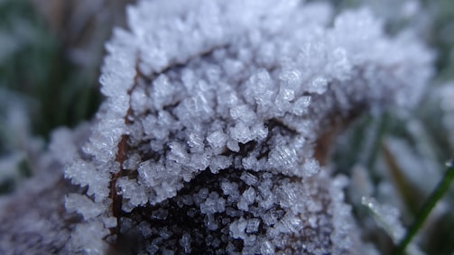 Close-up of a photo being upscaled with crisp detail and no blur.