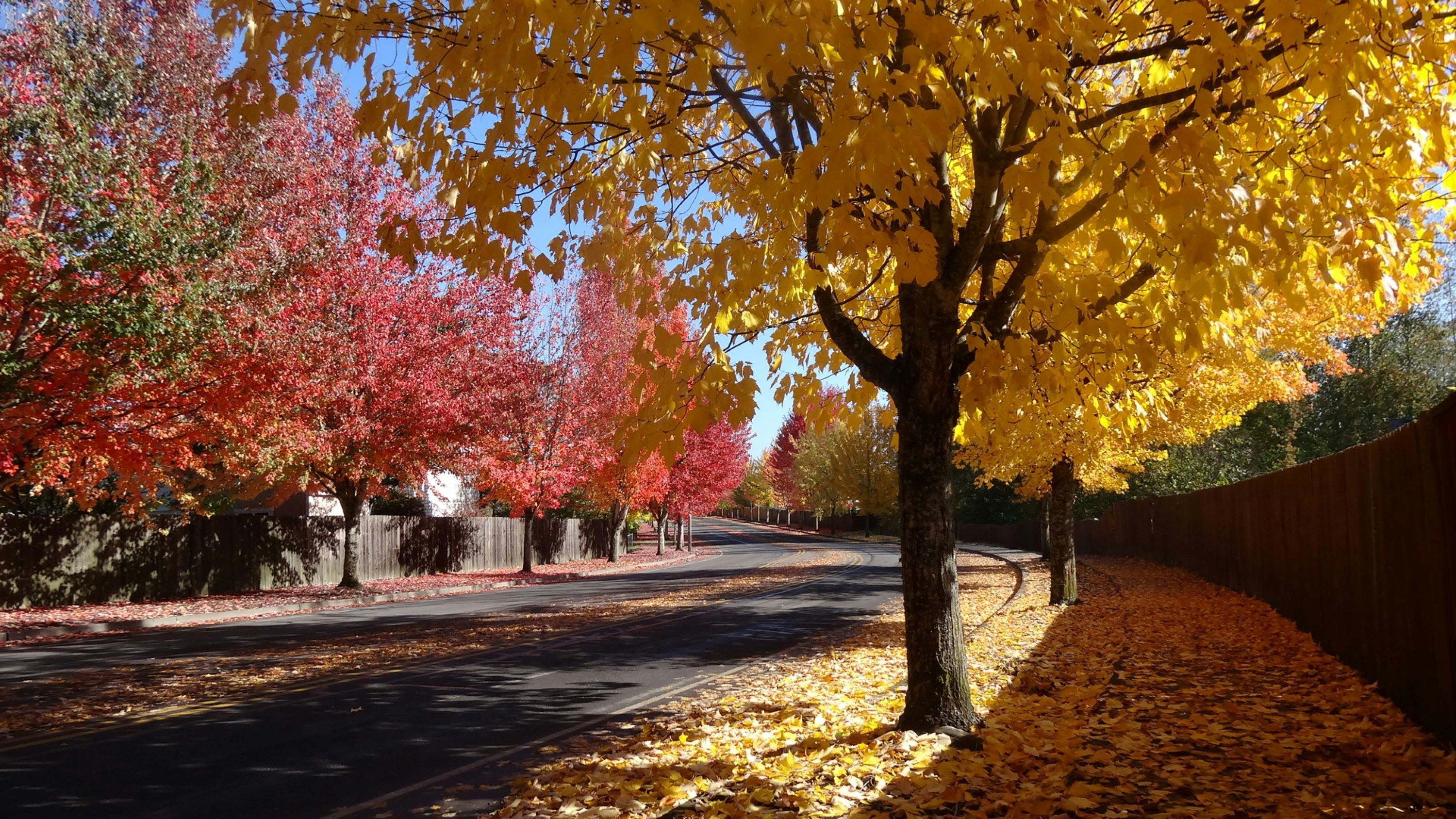 Photo by pictures102