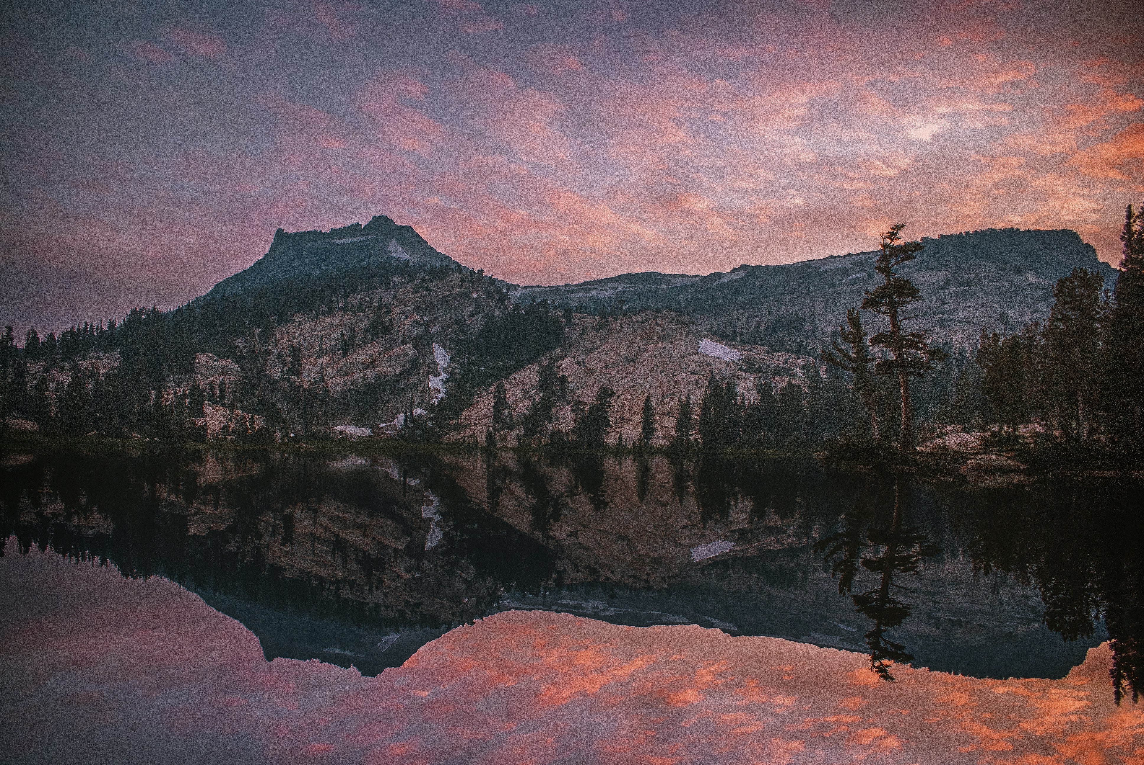 reflection of trees on body of water