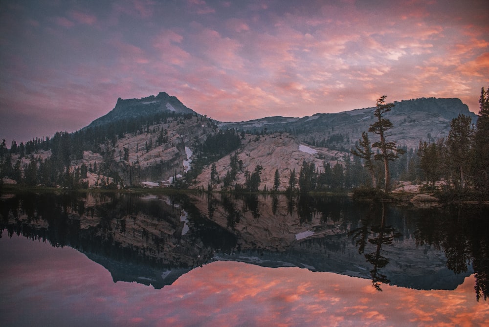 reflection of trees on body of water