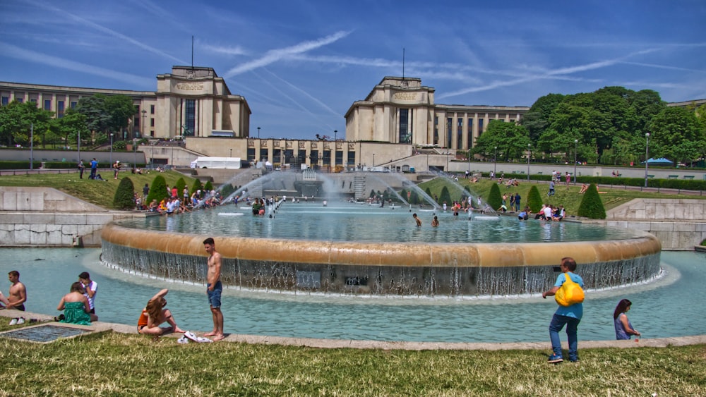 people near water fountain