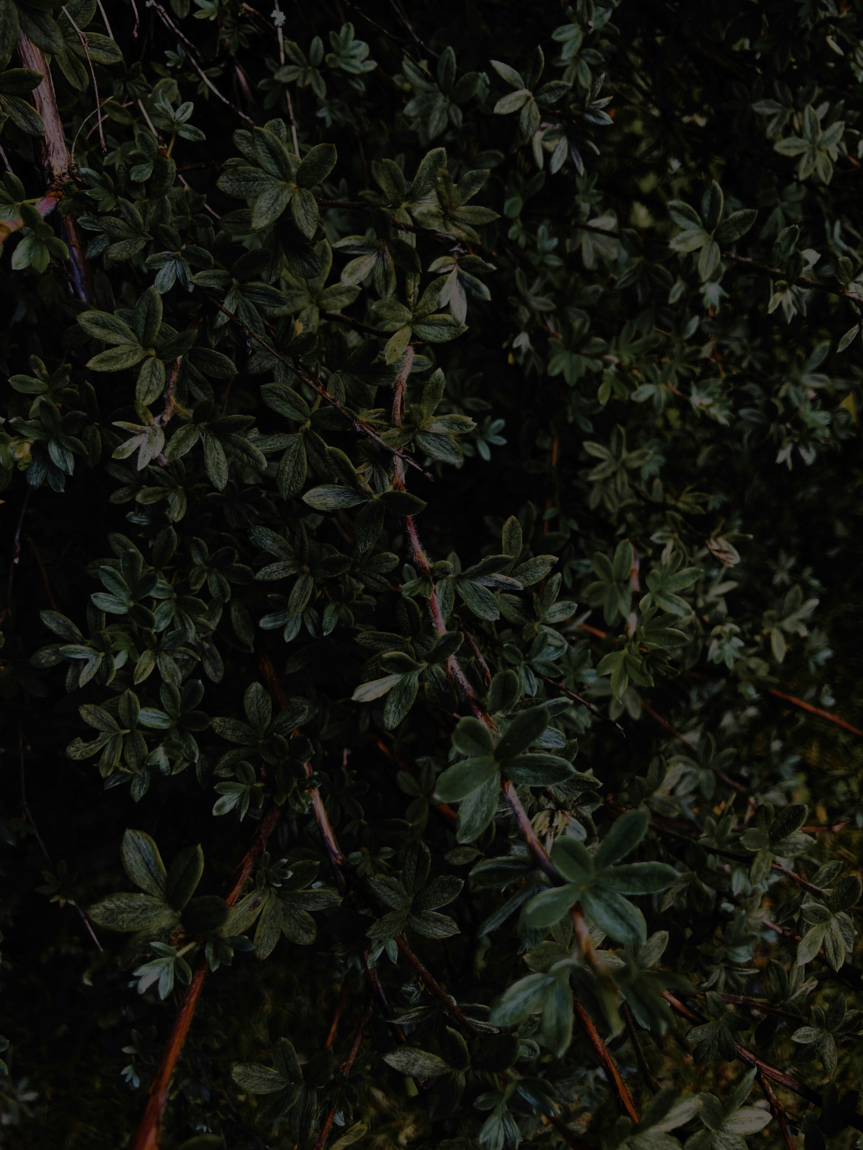 Photo by nastasyarud