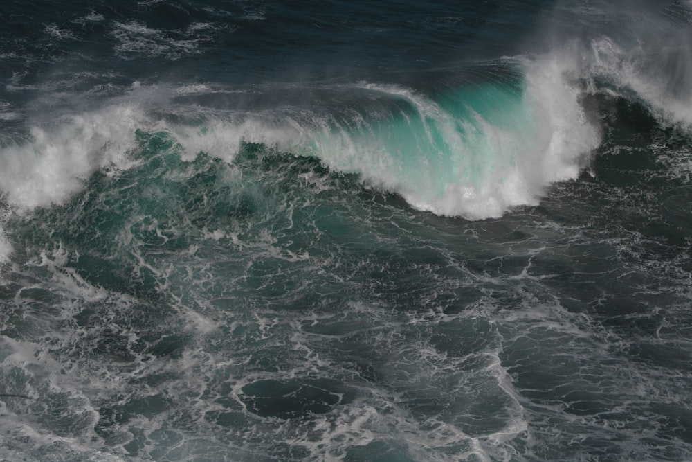 body of water close-up photography