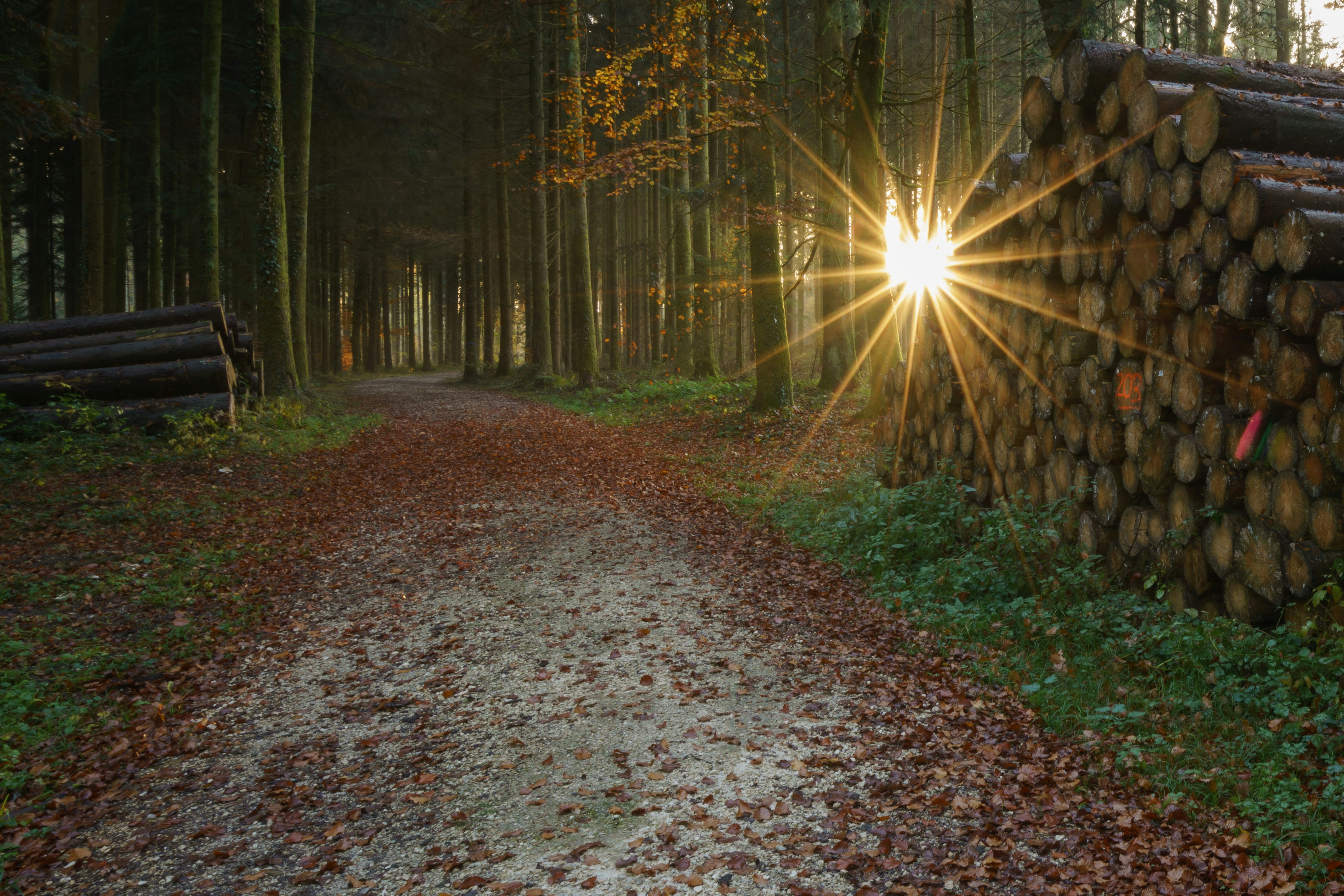 11 Life Path Planning Affirmations for Positive Energy