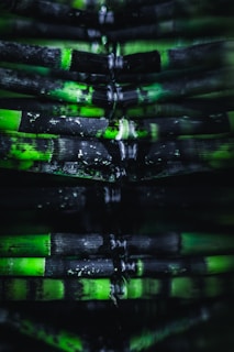 A close-up view of bamboo stalks with alternating patterns of green and black. The lighting creates an artistic, reflective effect, emphasizing the textures and colors of the bamboo.