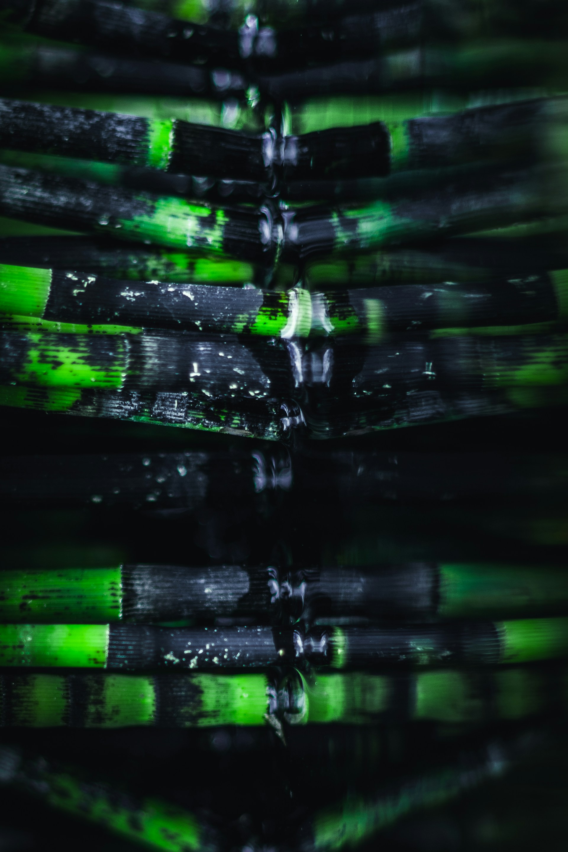 woman wearing yellow long-sleeved dress under white clouds and blue sky during daytime