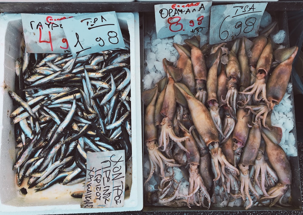 dried fish and squids