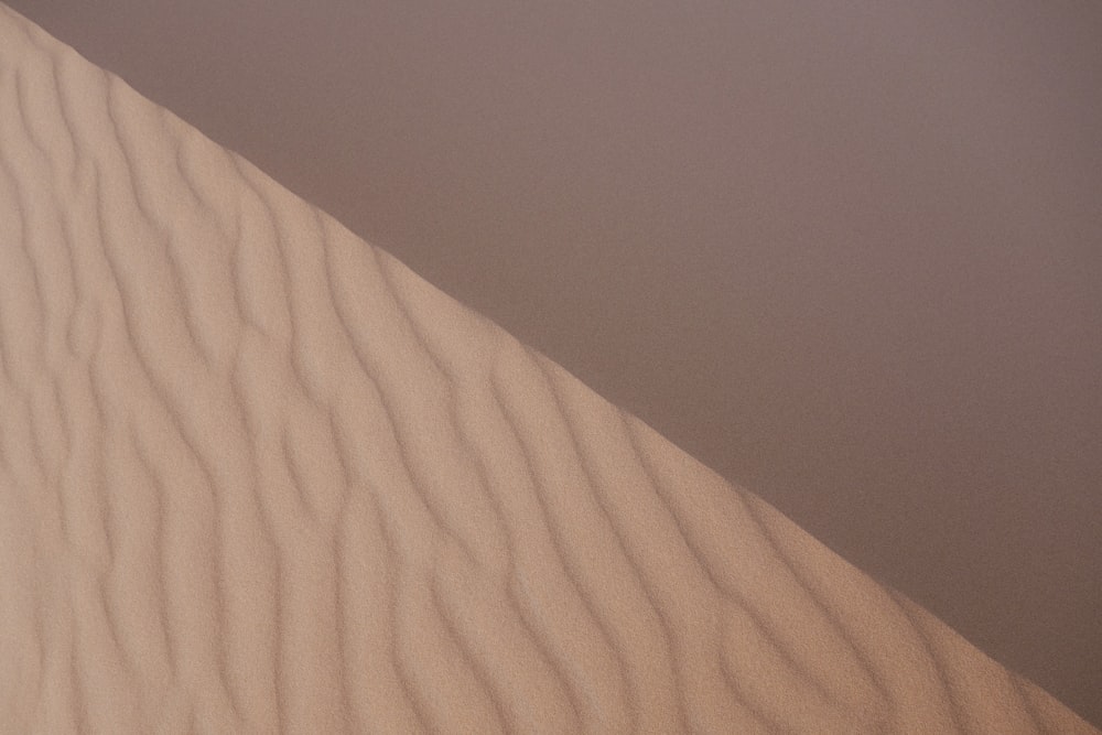 Ein einsamer Vogel fliegt über eine Sanddüne