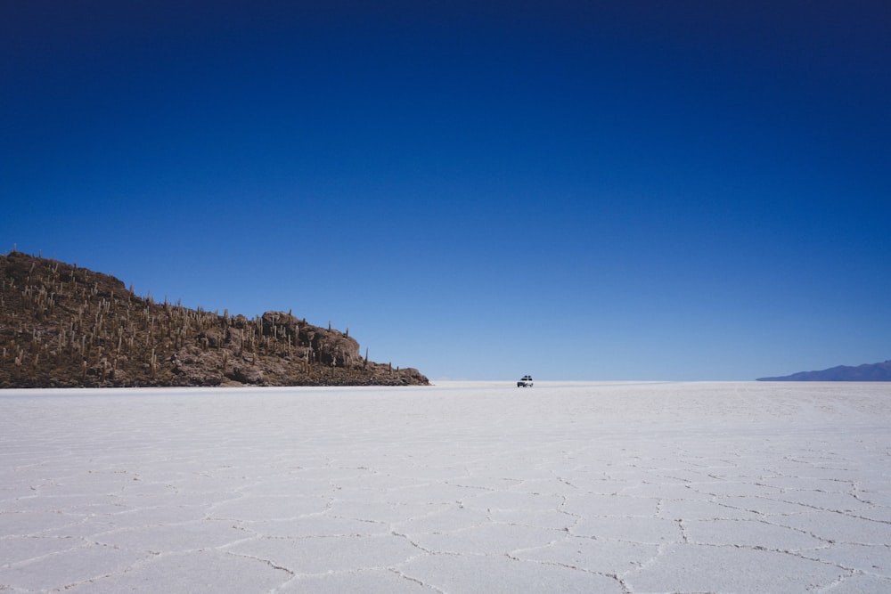 seashore near mountain range