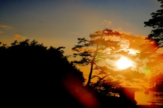 Peaceful nature scene with warm tones reflecting the essence of personal transformation