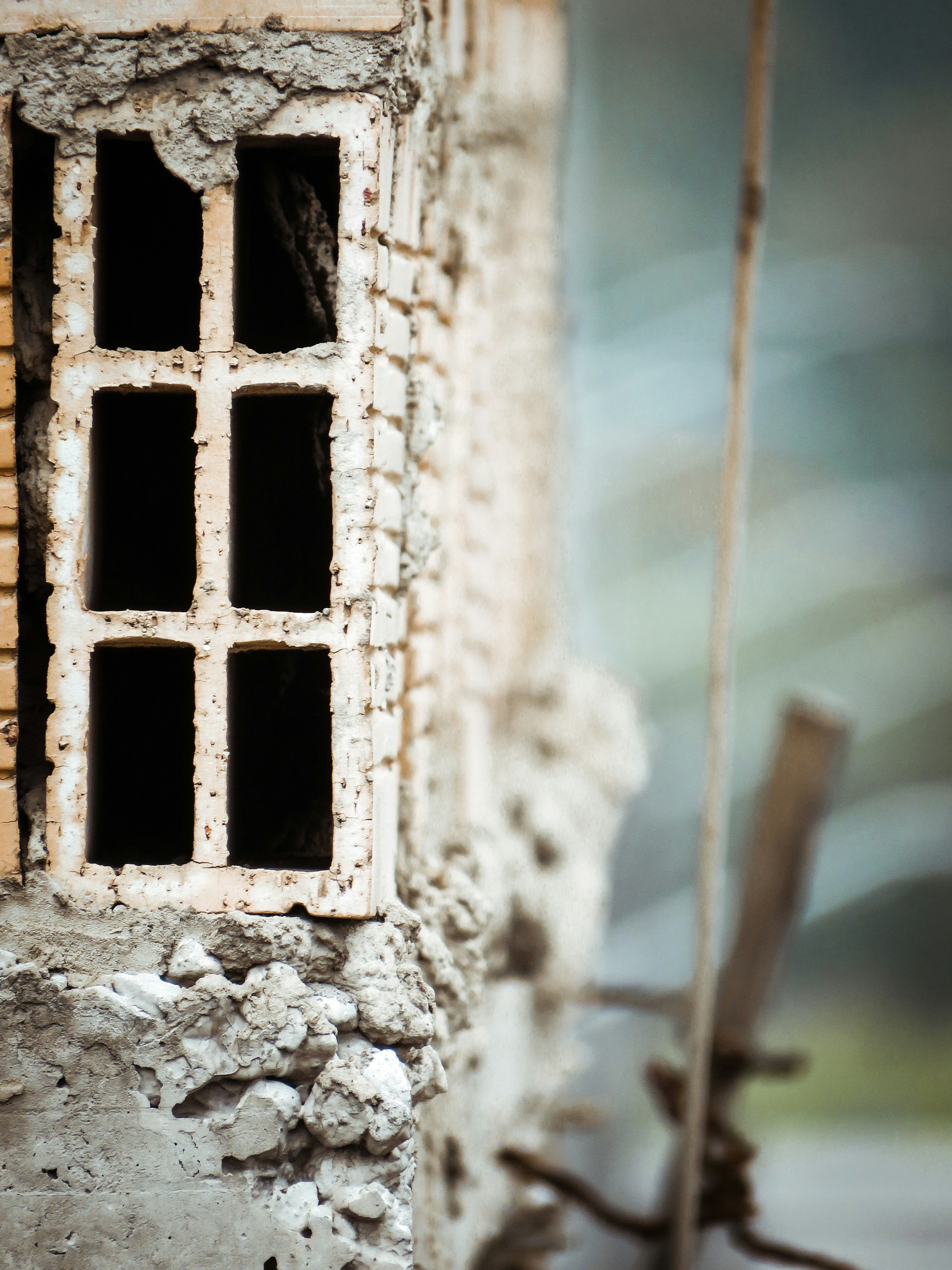 Photo by carlosandres11