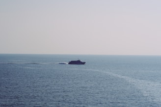 A small boat cutting through calm blue waters with whales breaching in the distance under a clear morning sky.