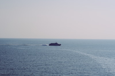 A small boat cutting through calm blue waters with whales breaching in the distance under a clear morning sky.