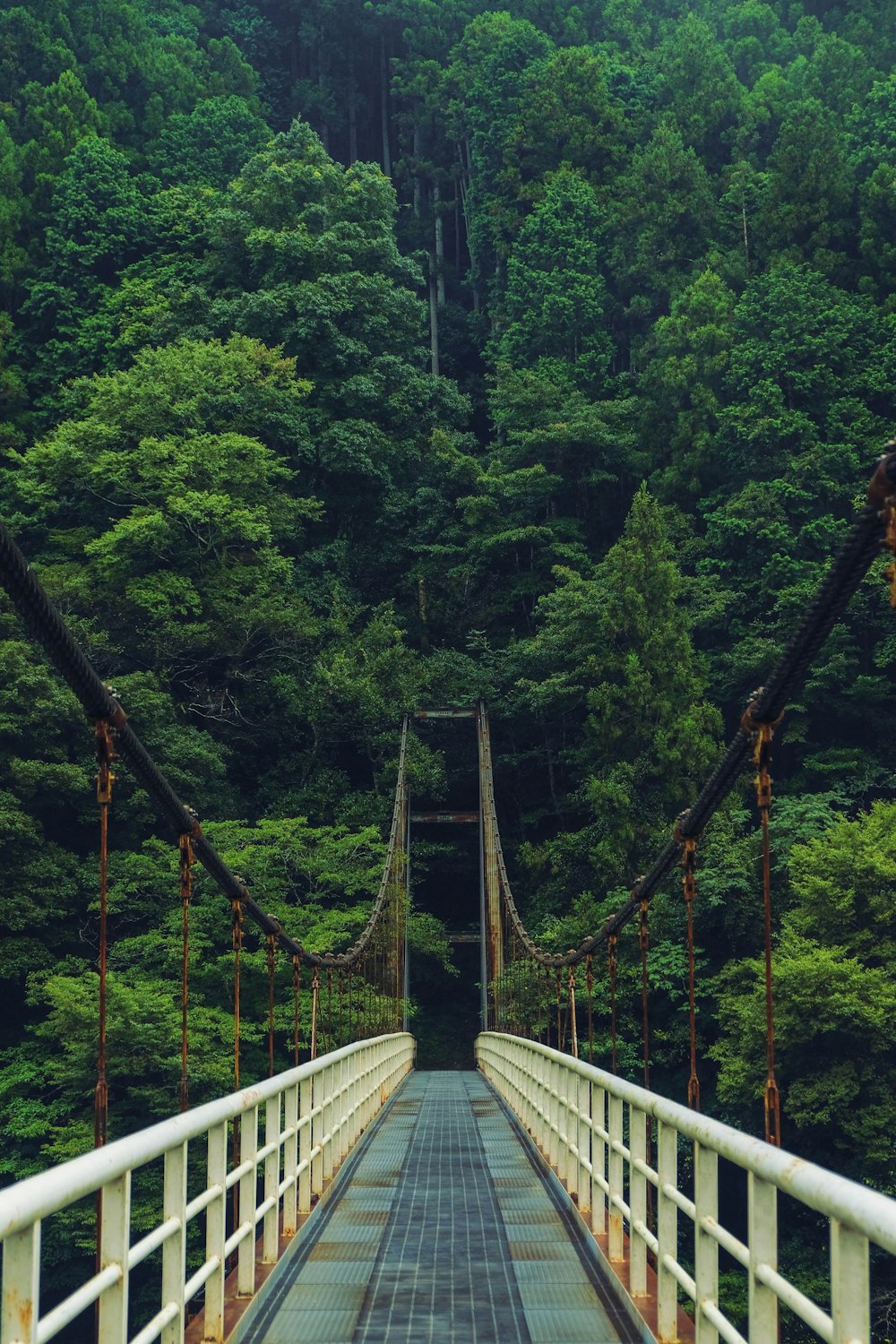 empty bridge during daytime