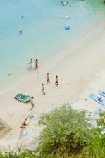 people on beach during daytime