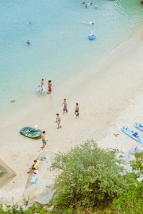 people on beach during daytime
