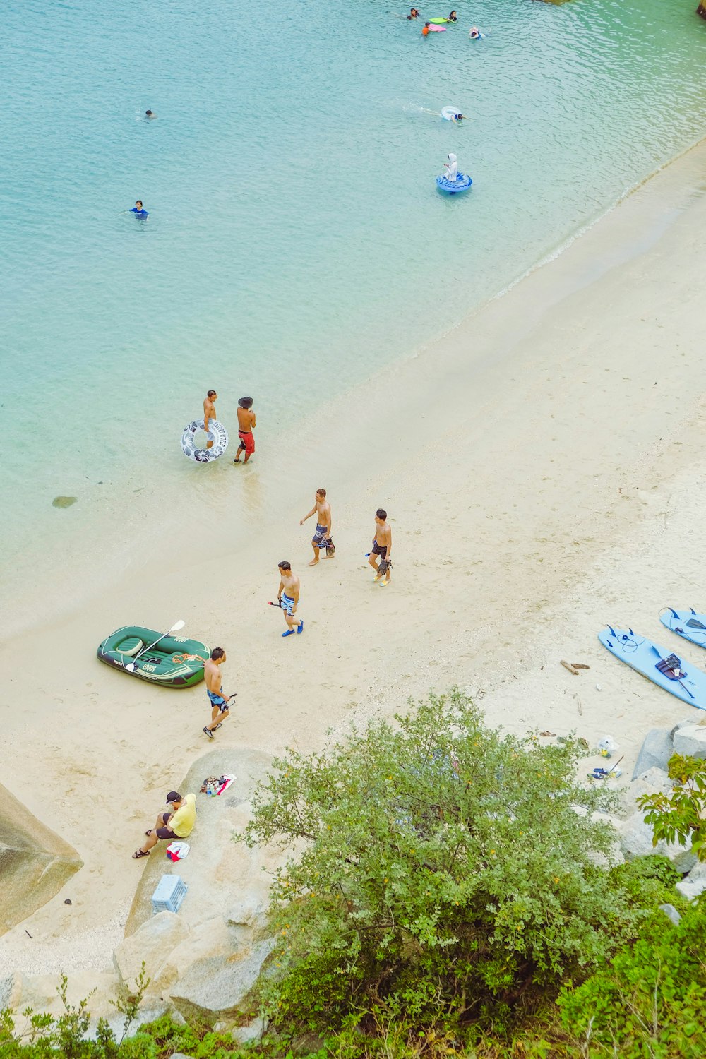 people on beach during daytime