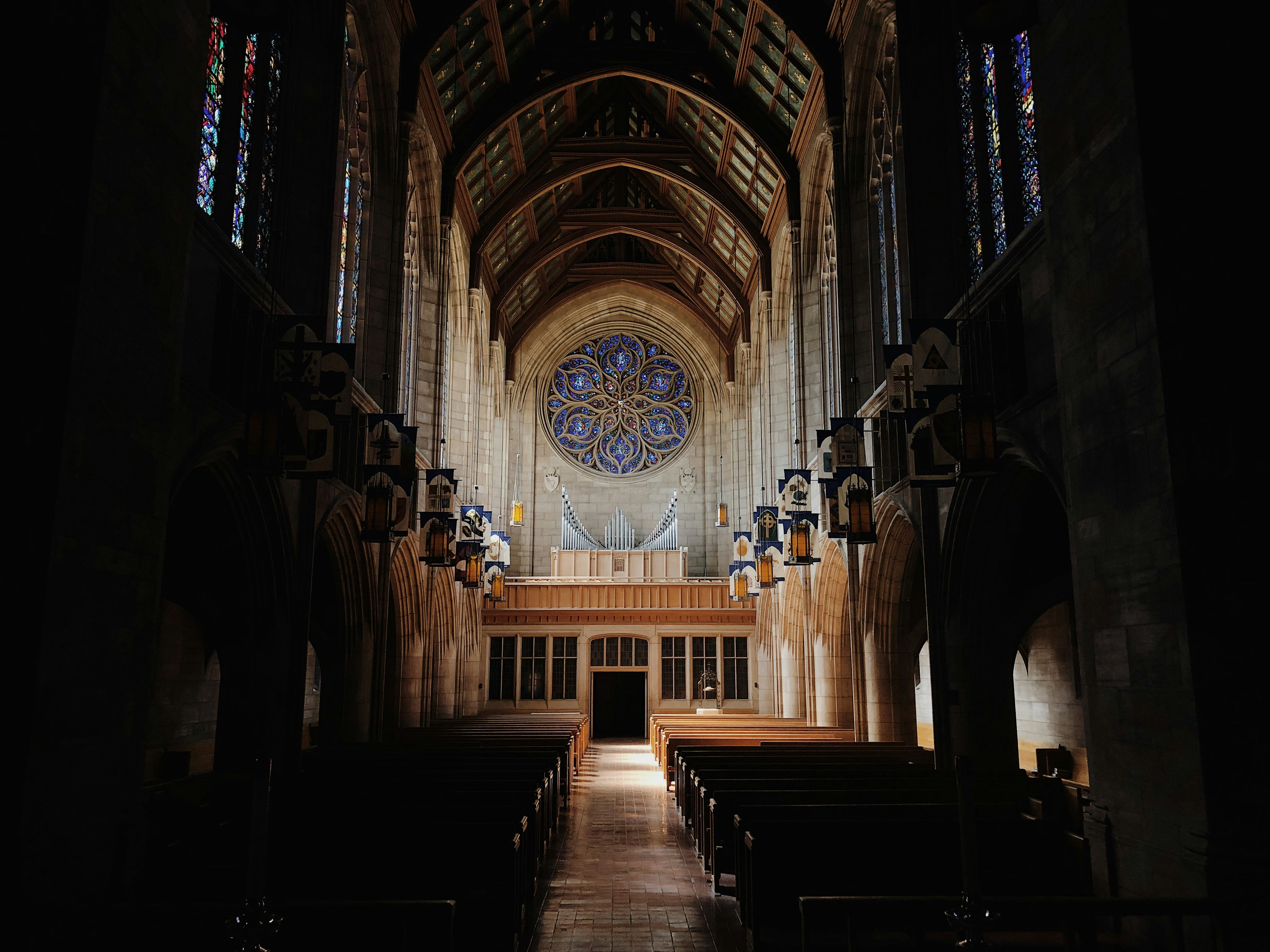 Photo by sydneyangove