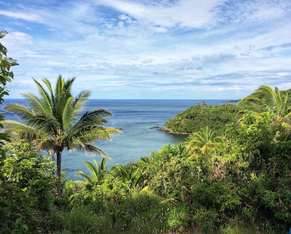 A scenic Costa Rican coastline with vibrant blue ocean and palm trees under a clear sky.