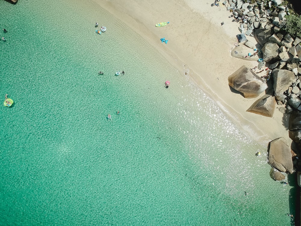 people swimming in beach during daytime