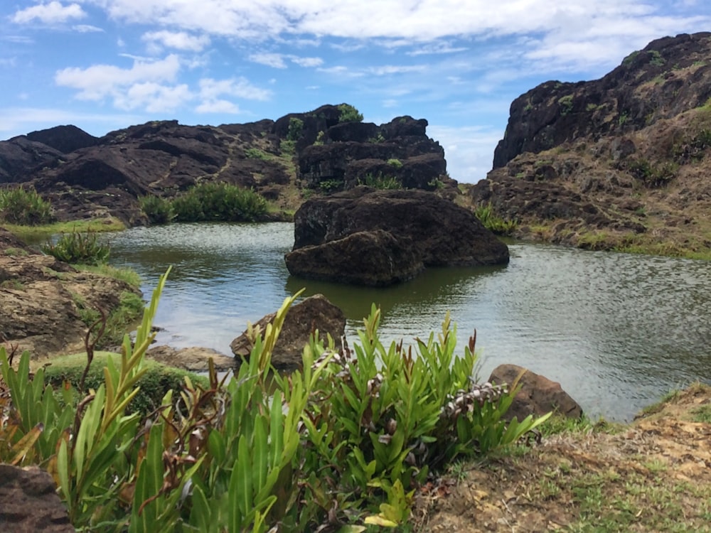 calm body of water by rocks during daytime