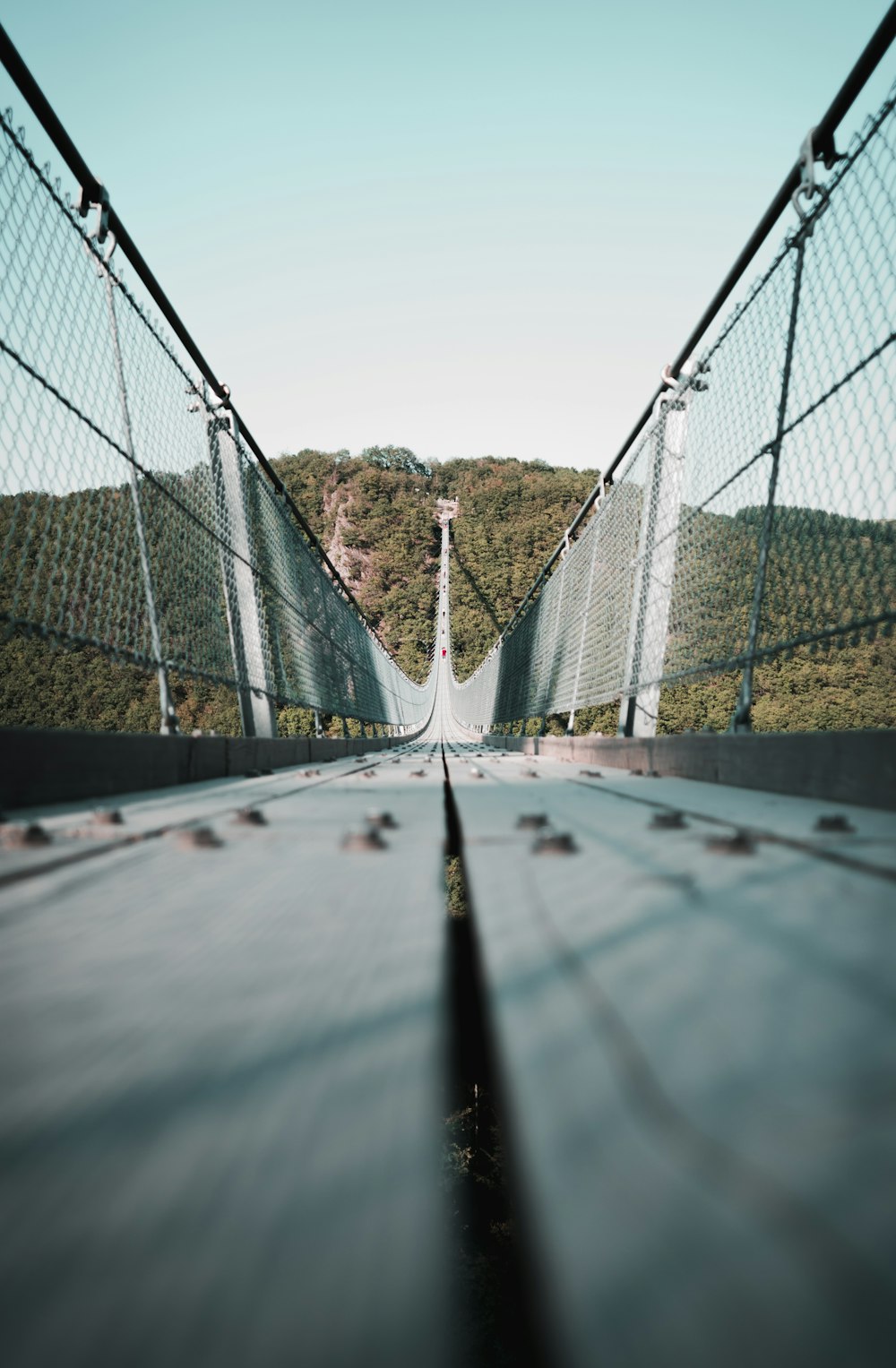 cable bridge under blue sky