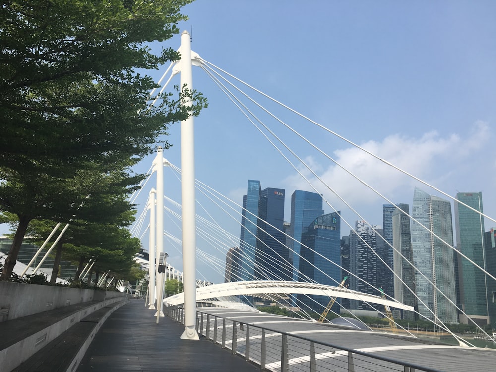 bridge near trees