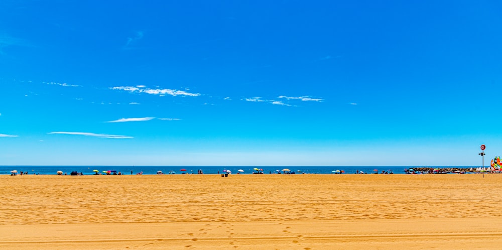 brown shore during daytime