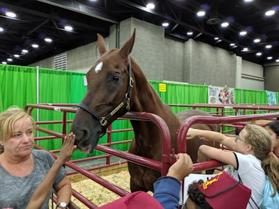 A horse is standing inside a red metal enclosure with green curtains in the background. Several people, including children and an adult, are reaching out to touch the horse. The surroundings suggest an indoor event or exhibition space.