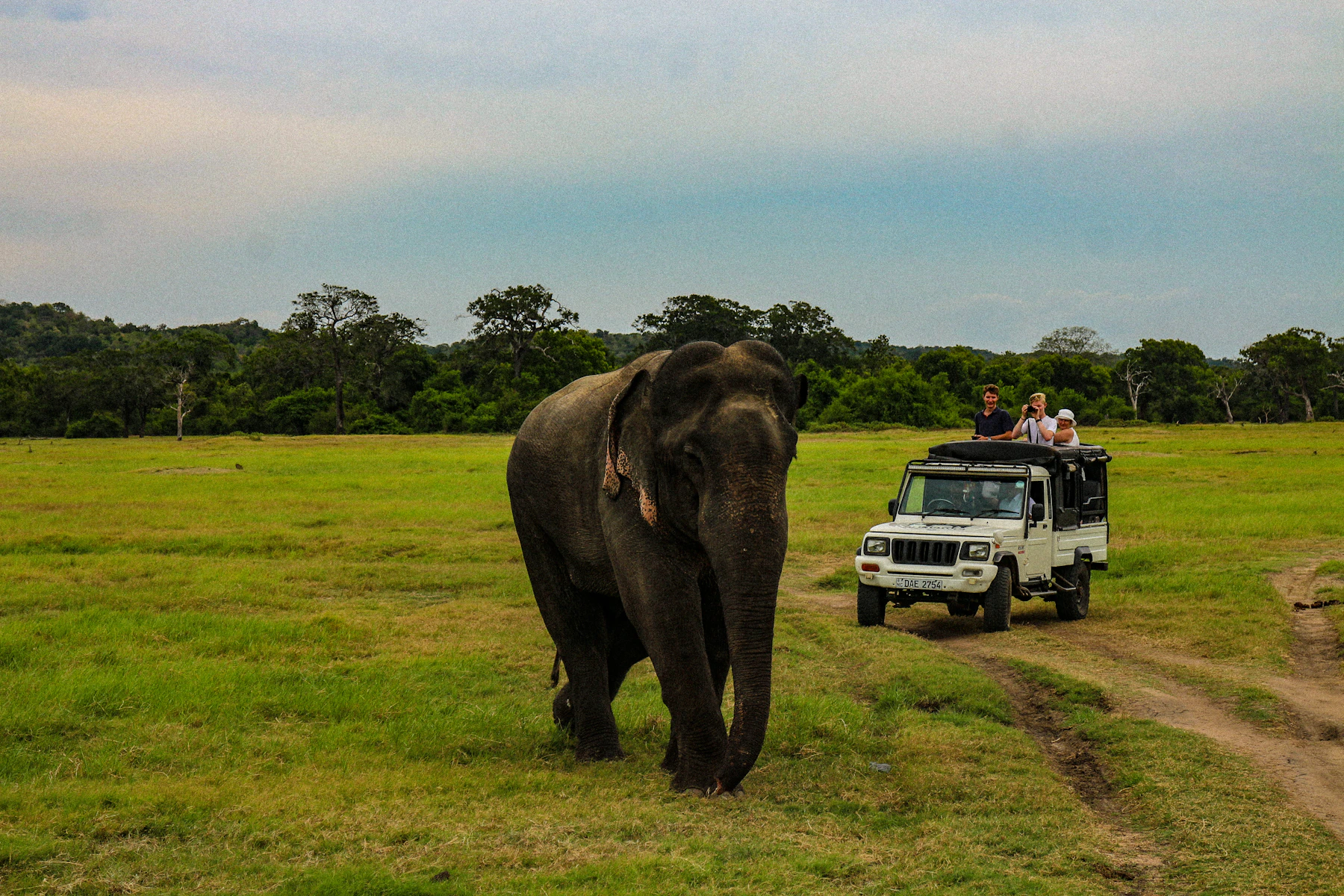 Wild Sri Lanka