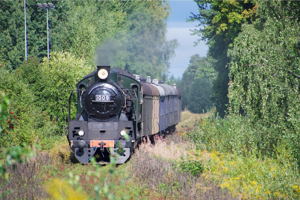 black and gray train surrounded with tall and green trees during daytime