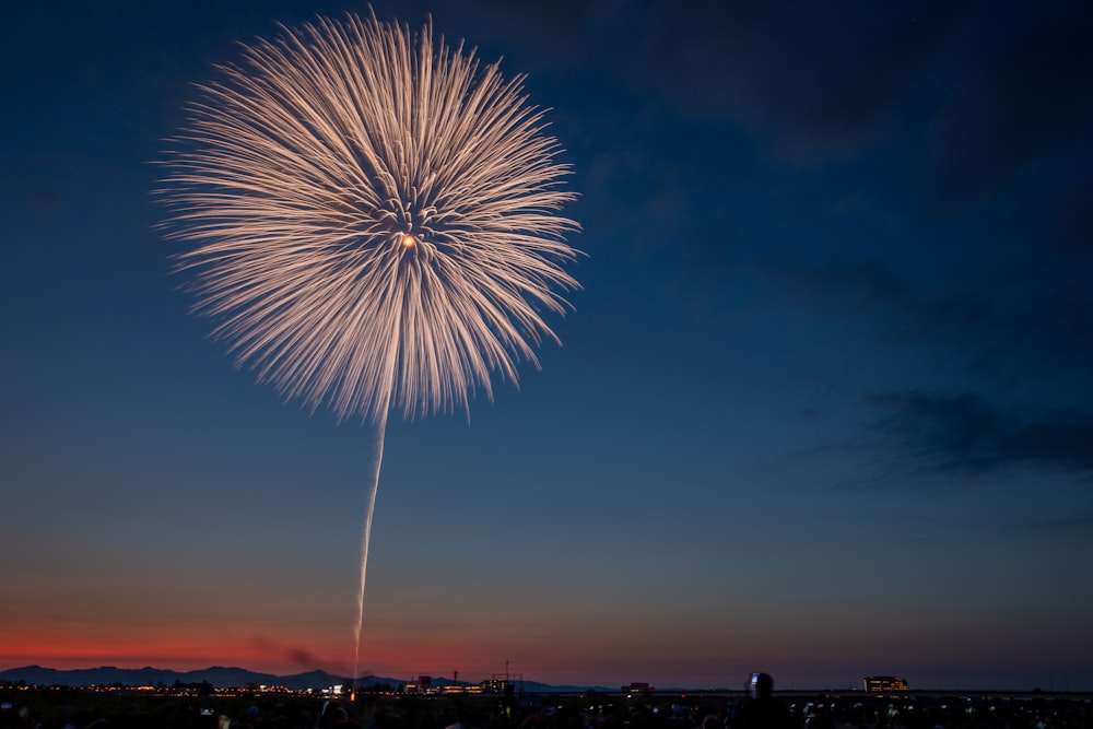 white fireworks display