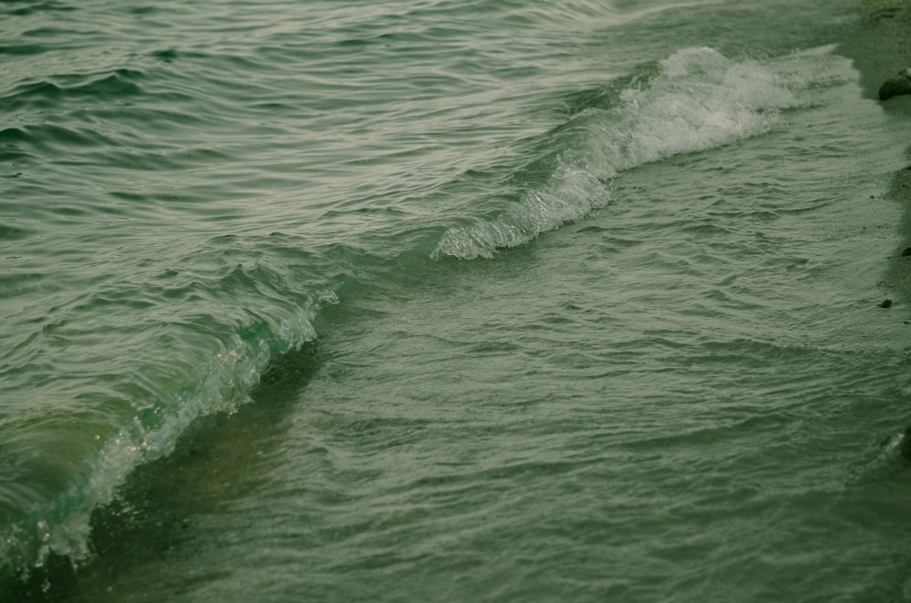 macro photography of body of water