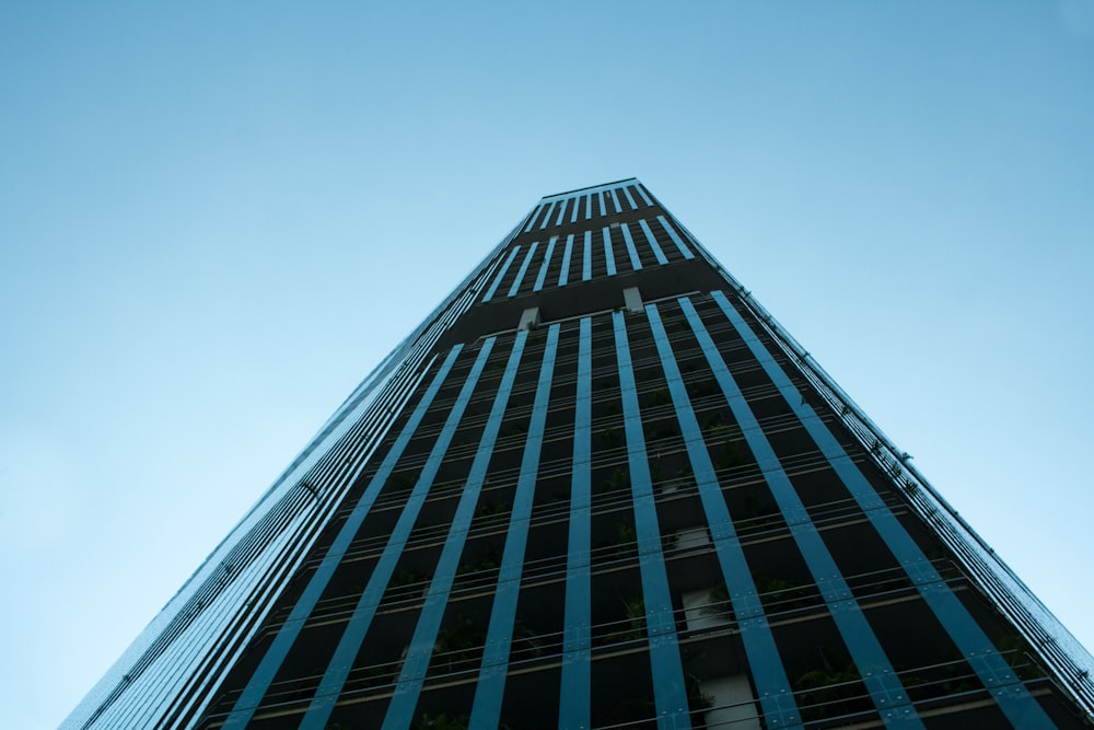 black and blue curtain wall high-rise building