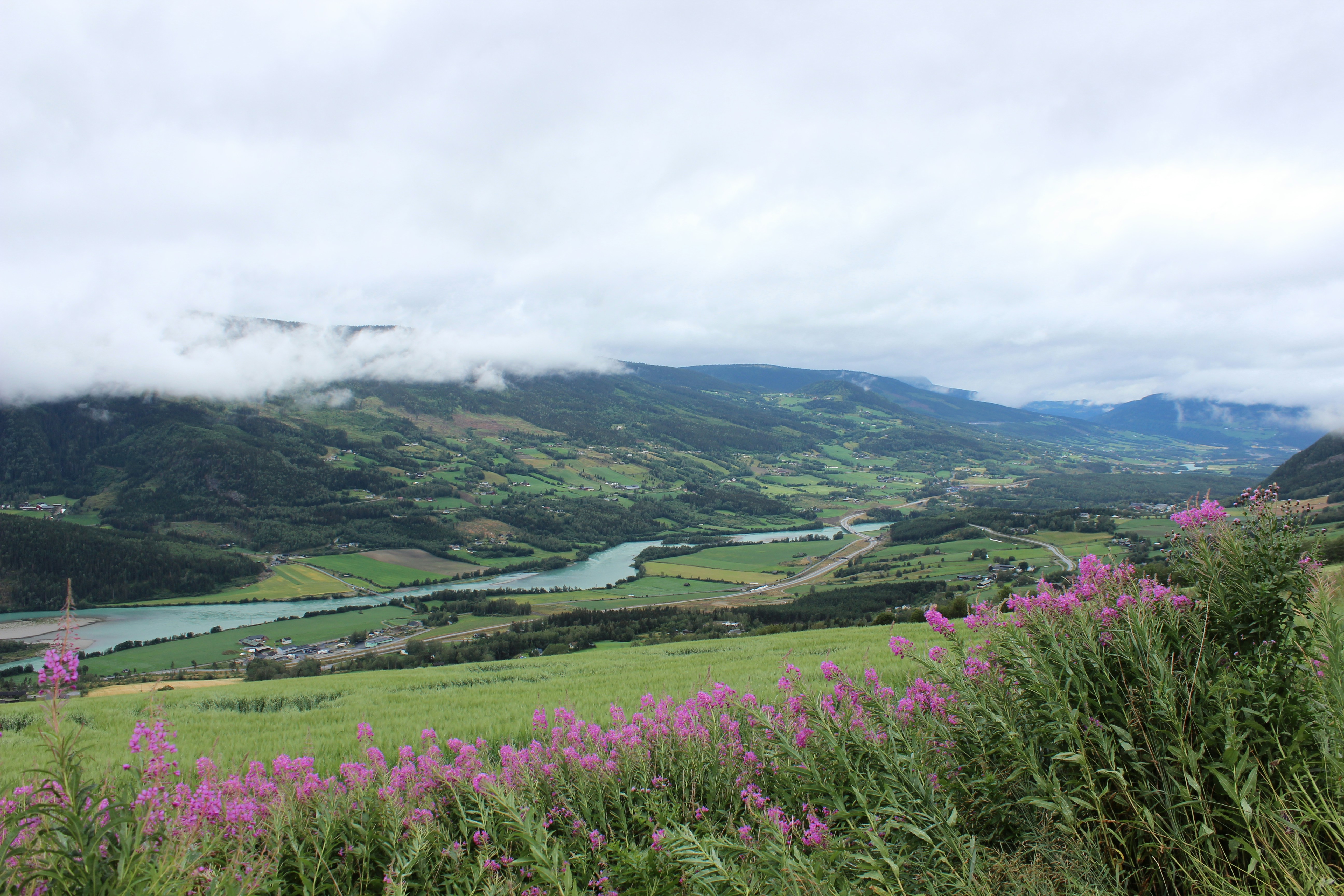 black and white bed linen