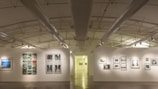 A visual of the gallery section with thumbnails arranged neatly.