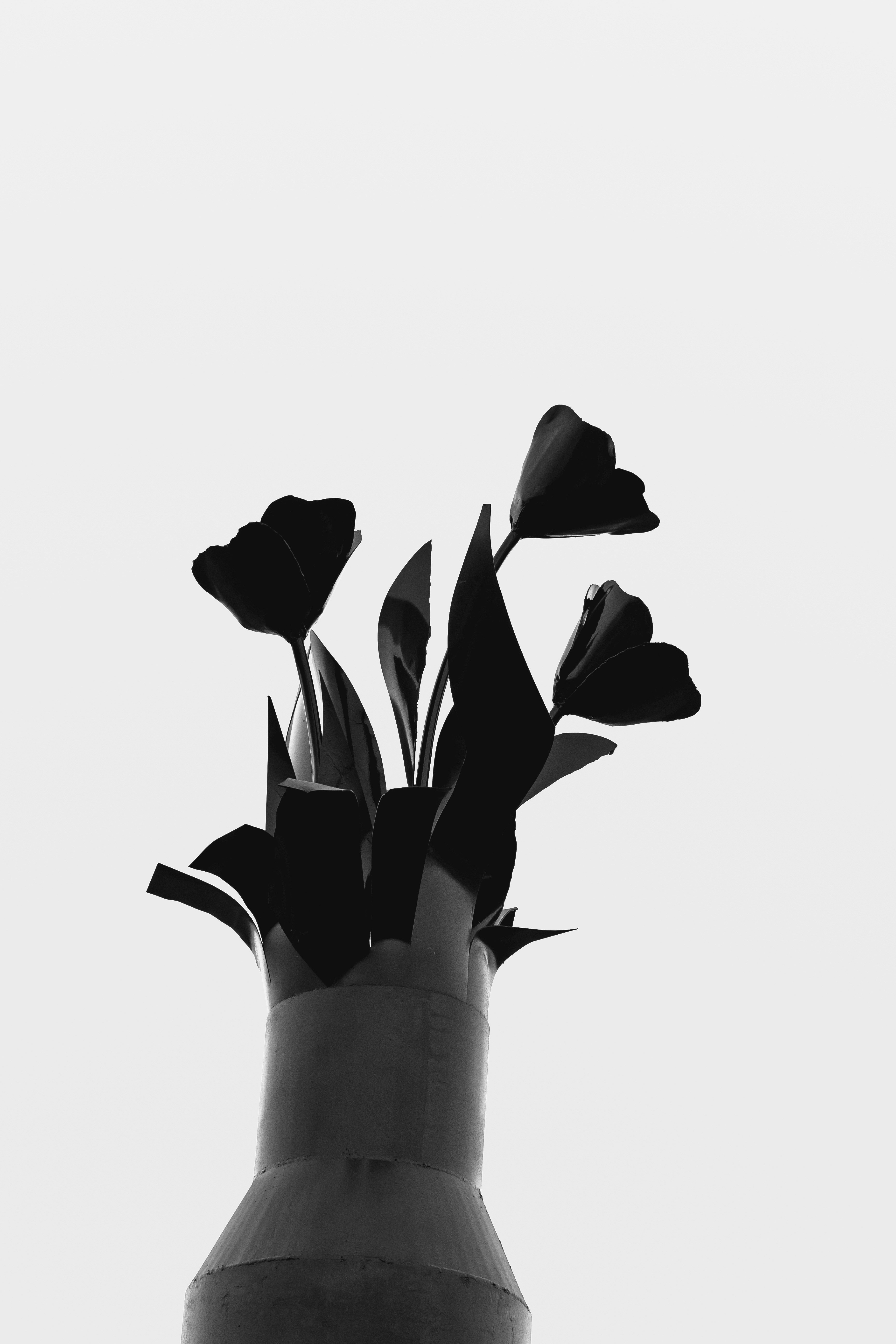 Petaled Flowers On Vase Clip Art Photo Free Black And White