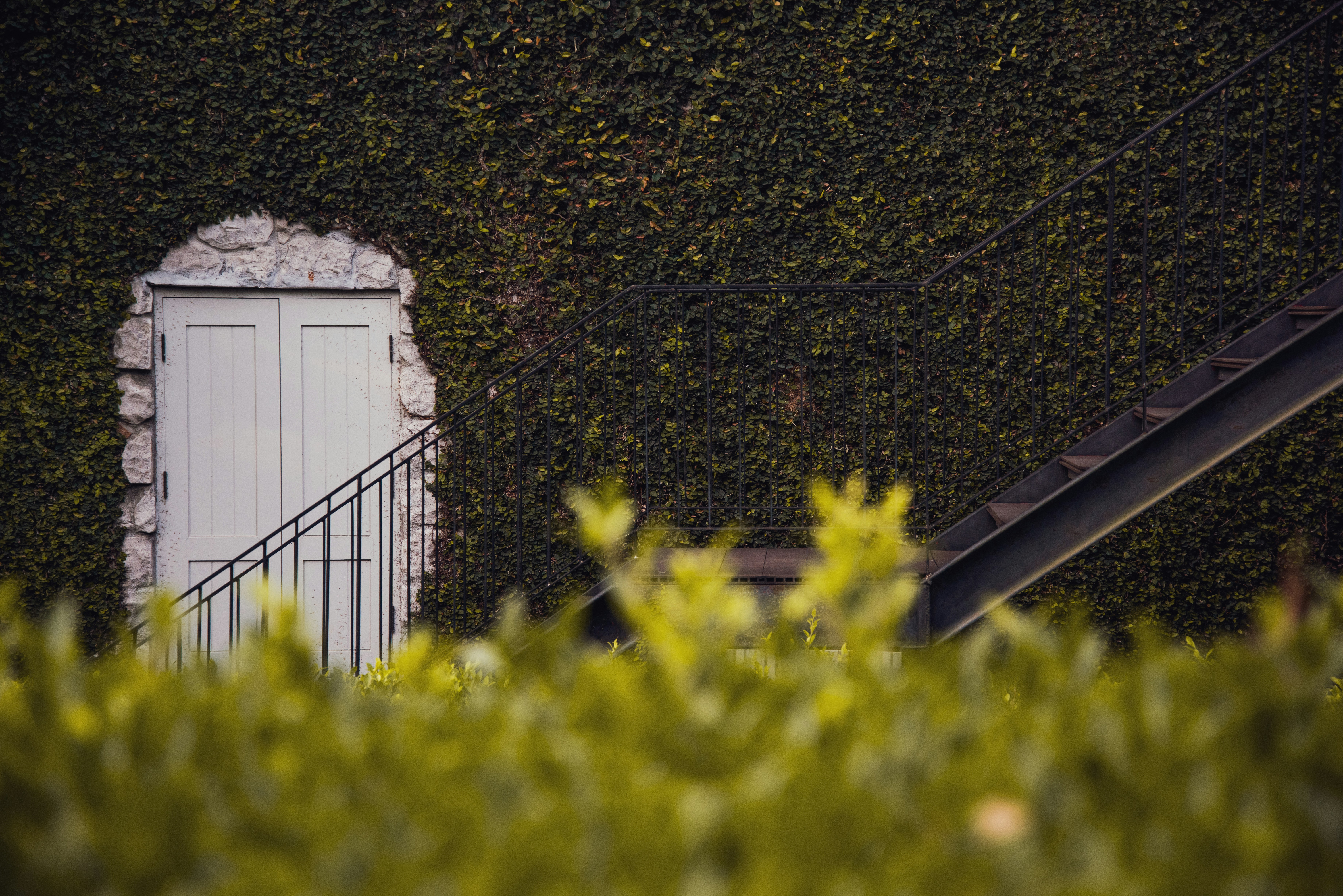The Unlocked Gate: What Winery Visits Without an Appointment Actually Reveal