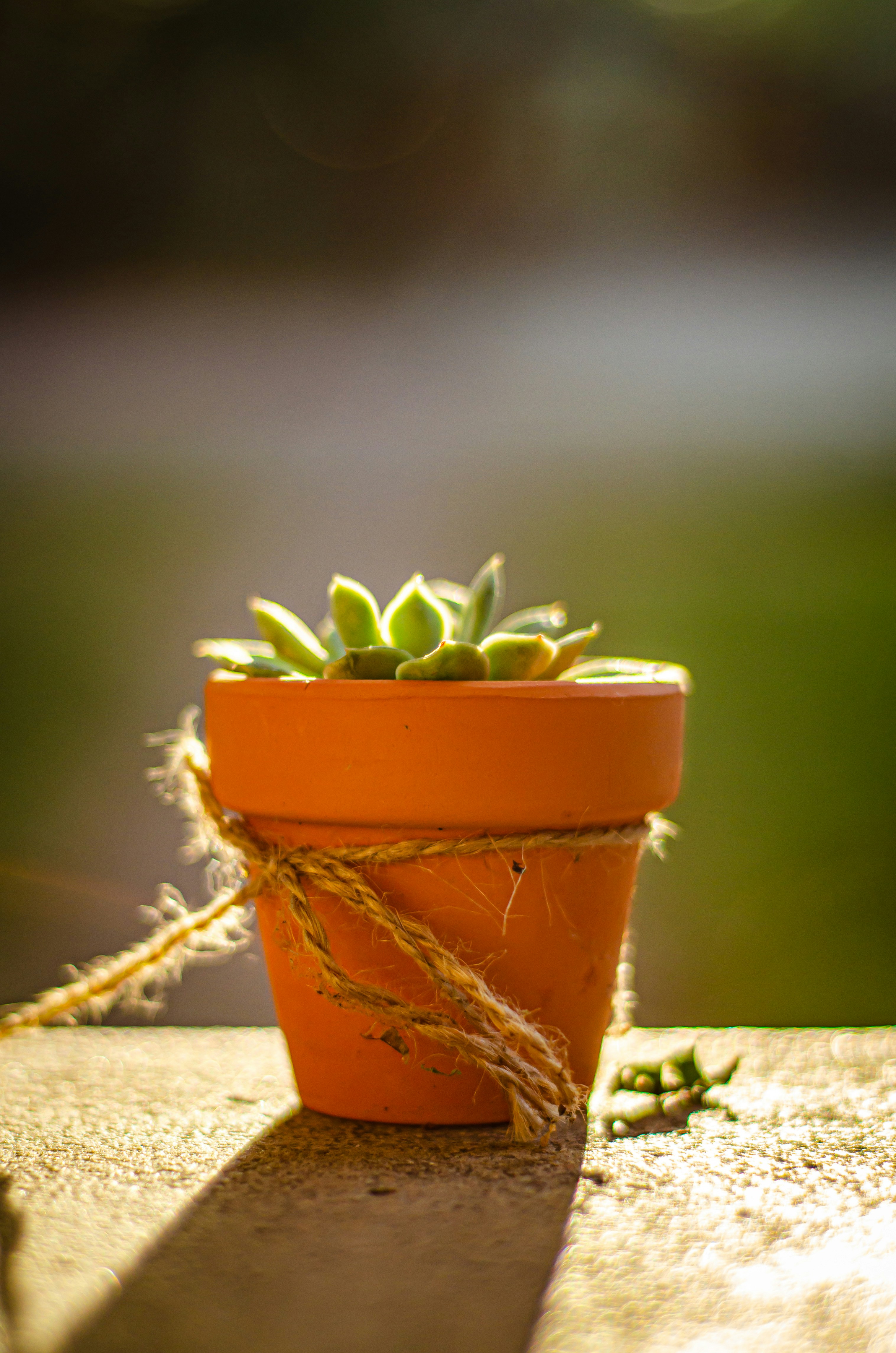 Photo by breedenkyle